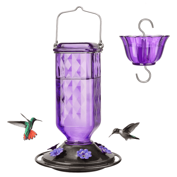 💥Hummingbird Feeder
